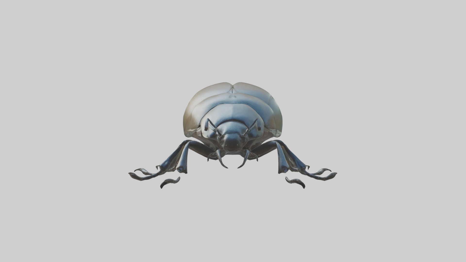 Beetle Model 1 Low-poly 3D model_4