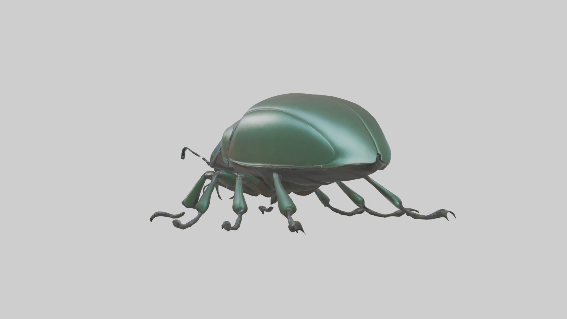 Beetle Model 1 Low-poly 3D model_1