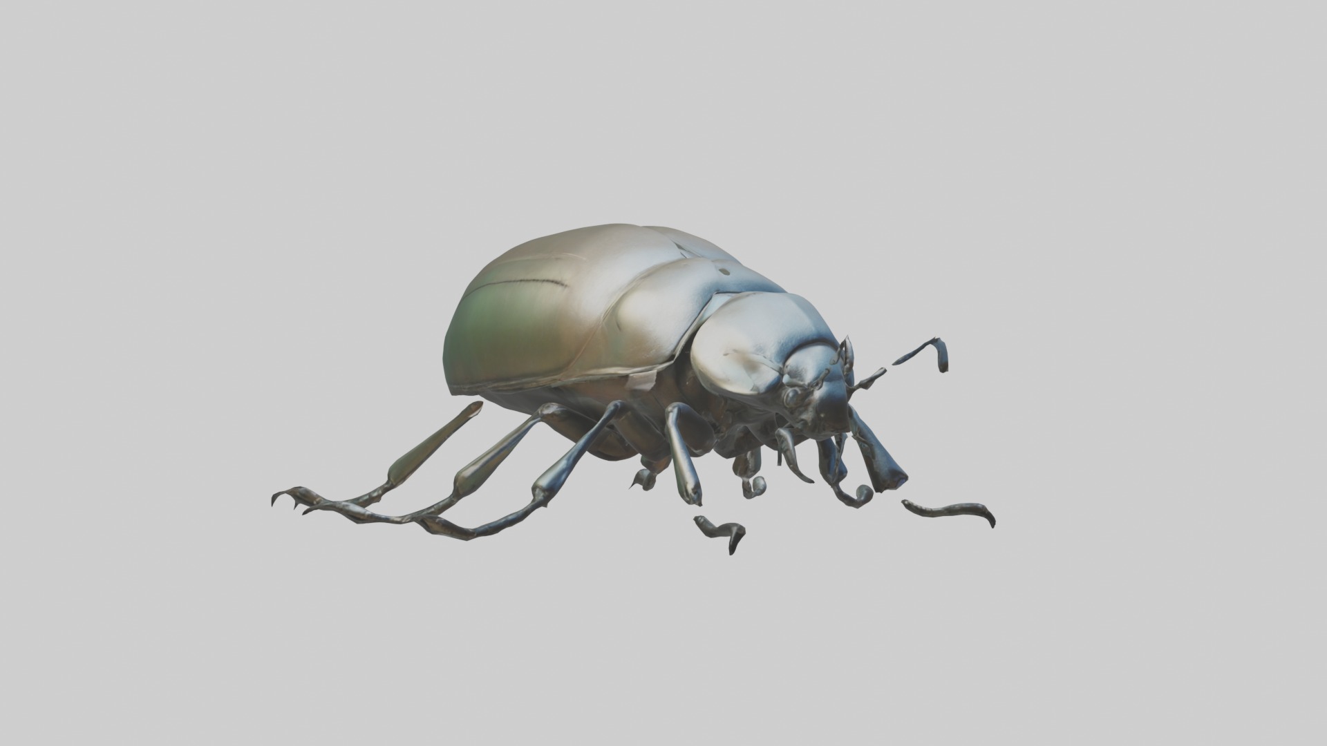 Beetle Model 1 Low-poly 3D model_5