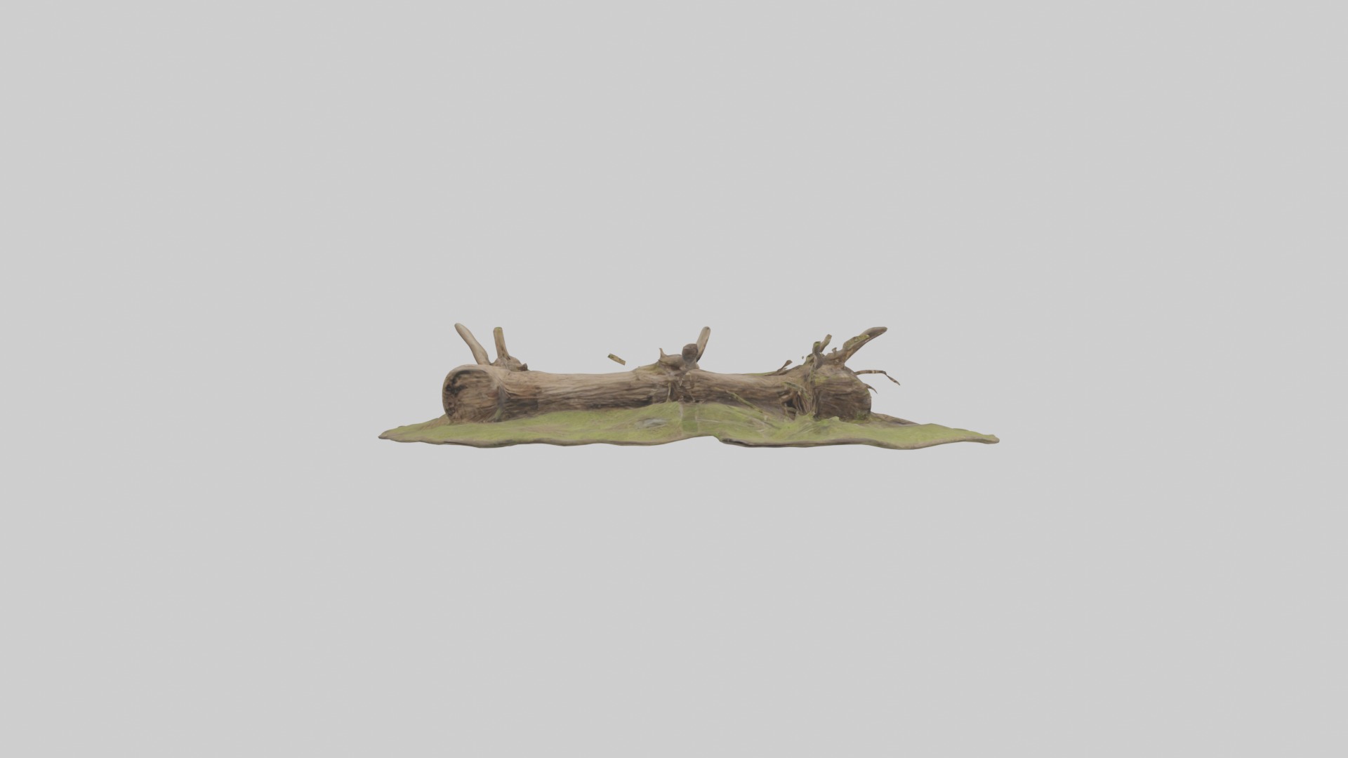 Beaverdam Model 1 Low-poly 3D model_7