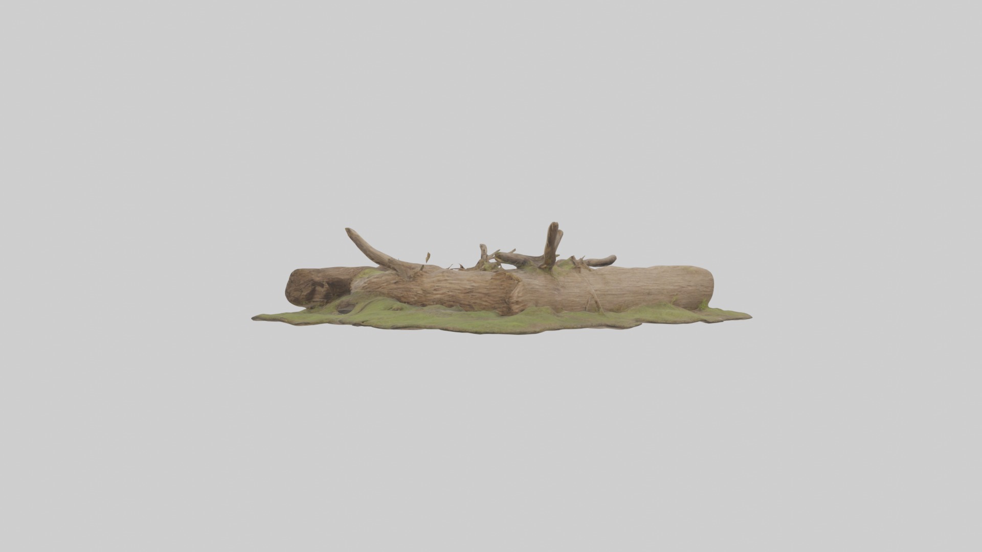 Beaverdam Model 1 Low-poly 3D model_1