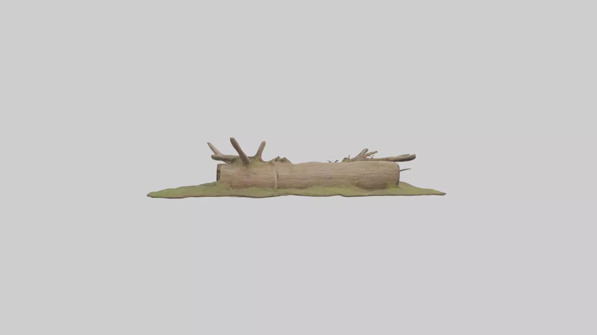 Beaverdam Model 1 Low-poly 3D model_0