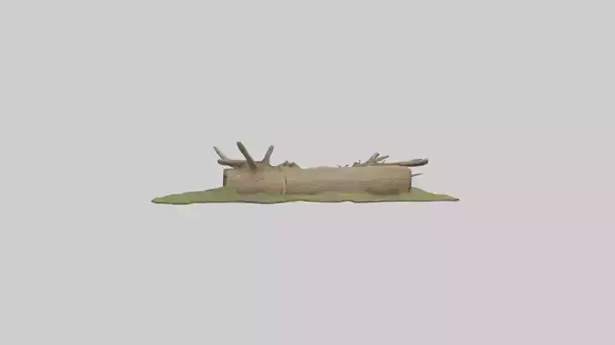 Beaverdam Model 1 Low-poly 3D model