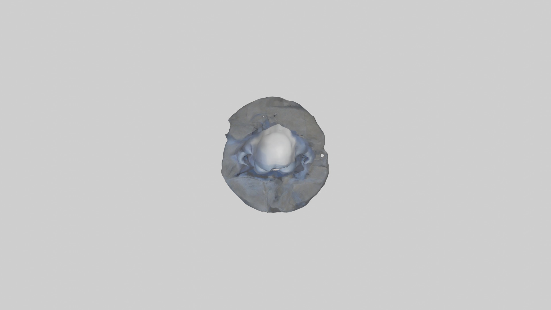 Banshee Model 1 Low-poly 3D model_8