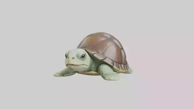 Babyturtle Model 1