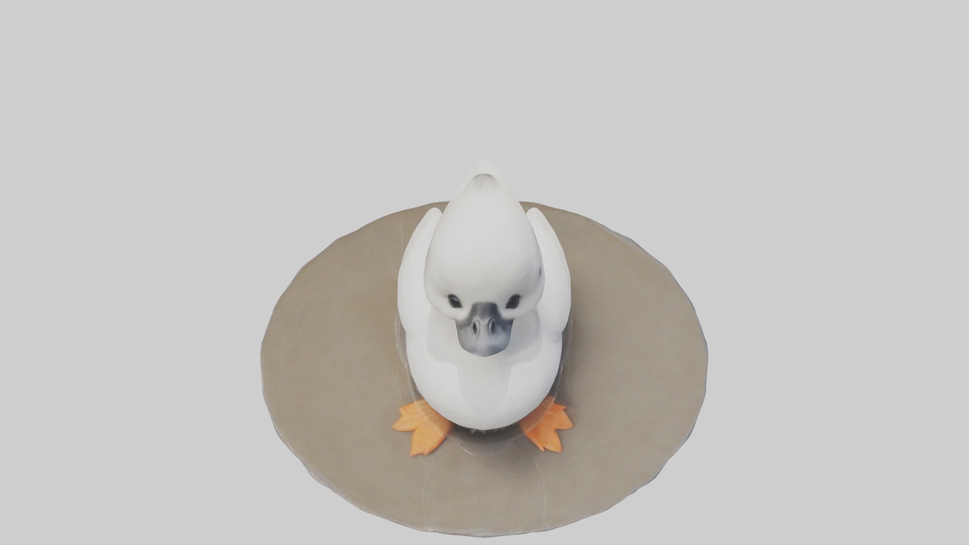 Babyswan Model 1 Low-poly 3D model_10
