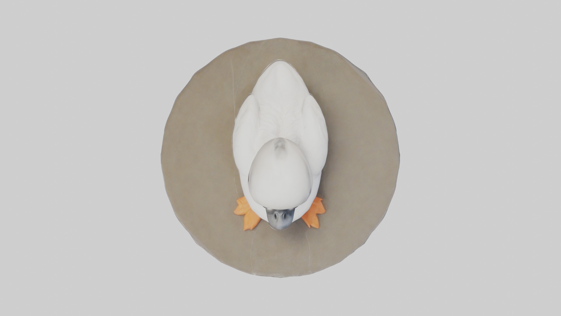 Babyswan Model 1 Low-poly 3D model_8