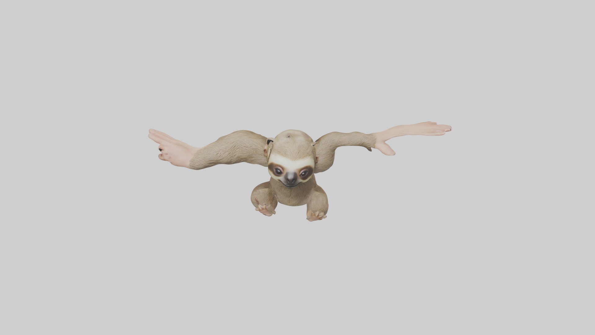 Babysloth Model 1 Low-poly 3D model_10