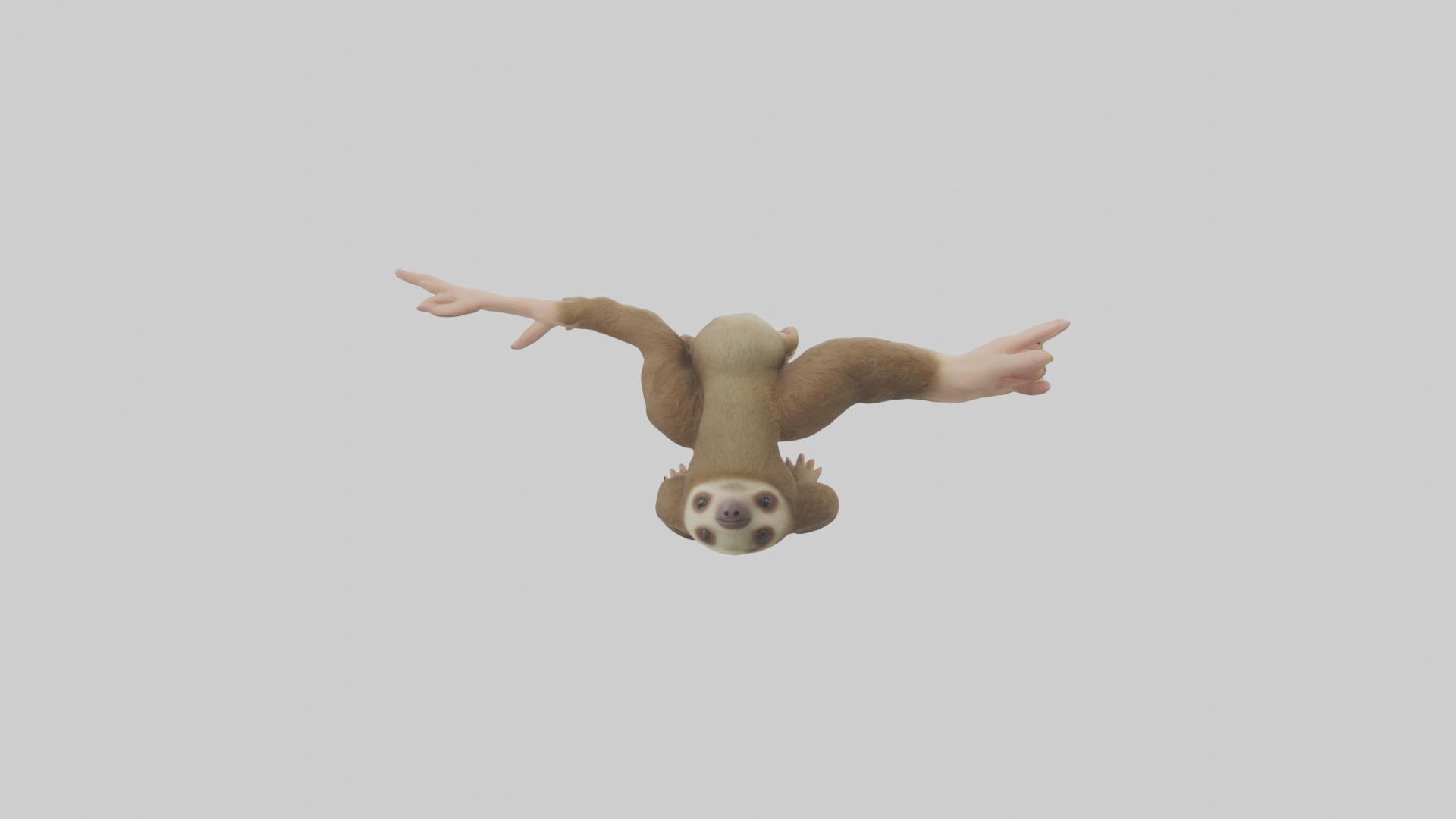 Babysloth Model 1 Low-poly 3D model_1