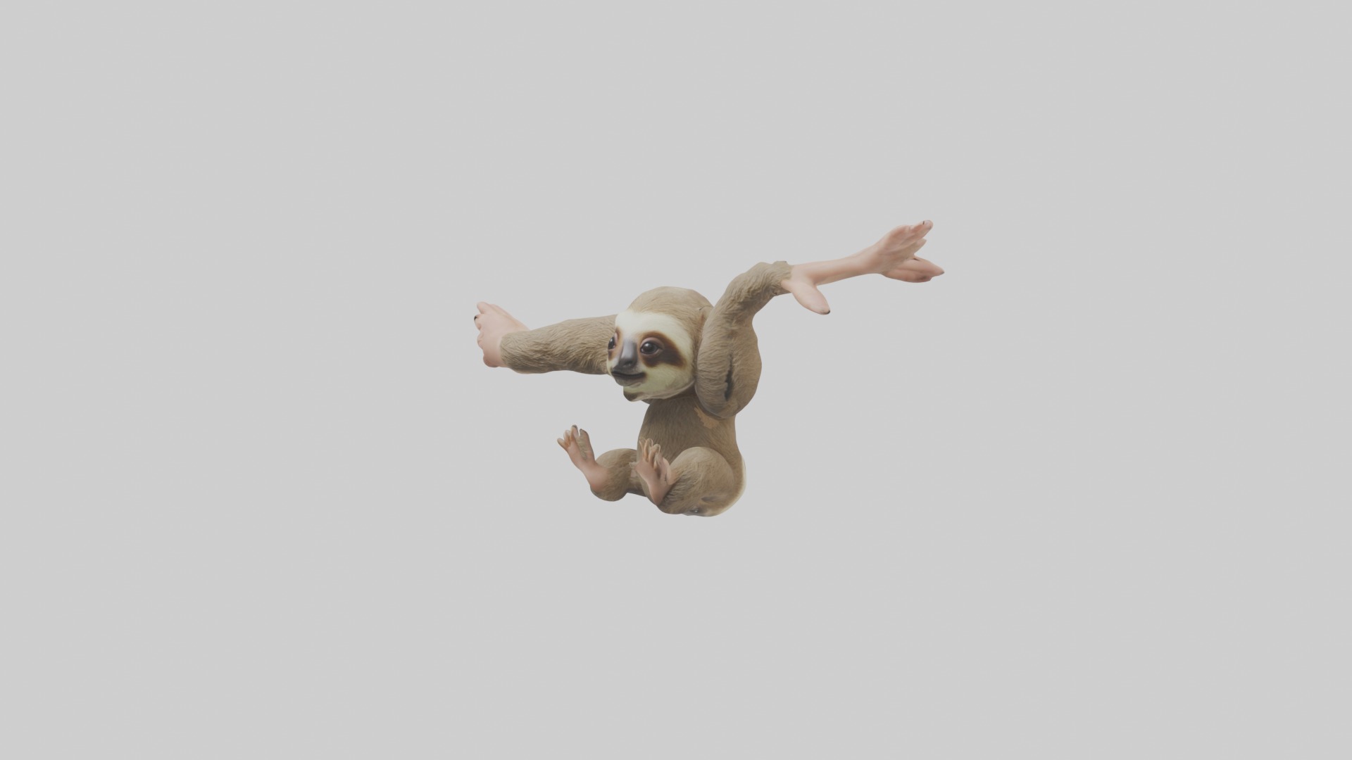 Babysloth Model 1 Low-poly 3D model_4