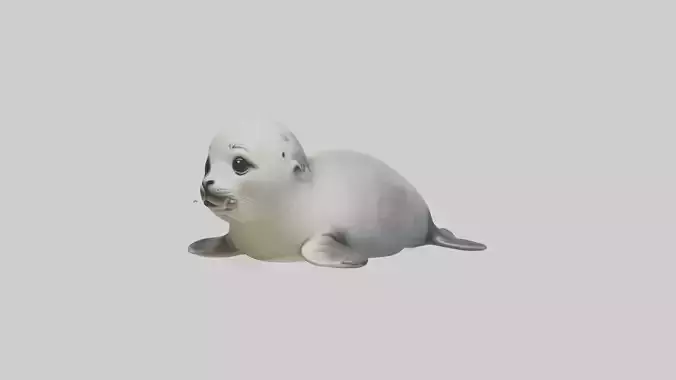 Babyseal Model 1