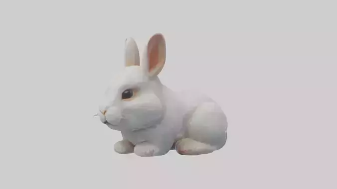 Babyrabbit Model 1