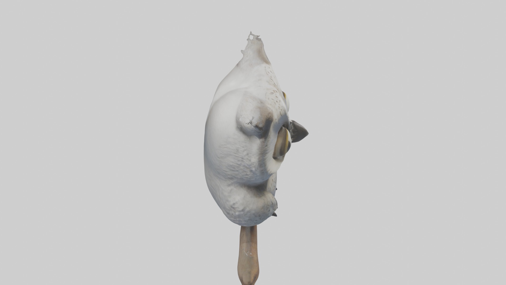 Babyowl Model 1 Low-poly 3D model_12