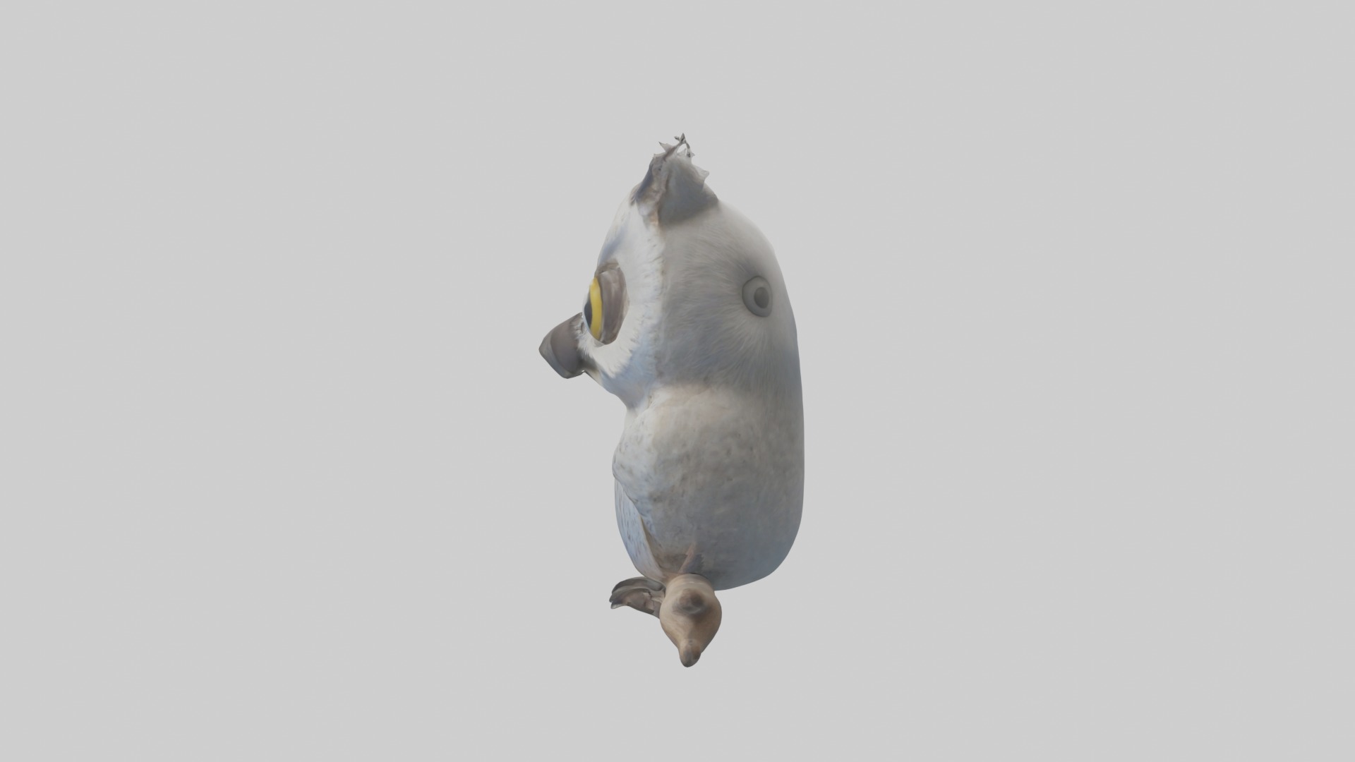 Babyowl Model 1 Low-poly 3D model_6