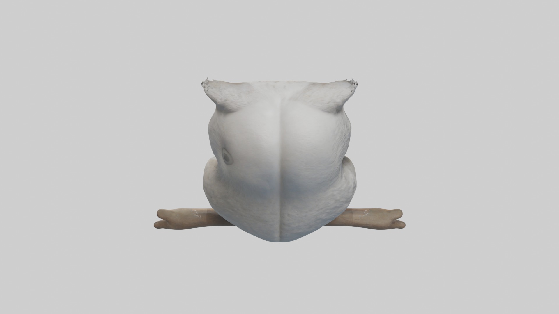 Babyowl Model 1 Low-poly 3D model_9