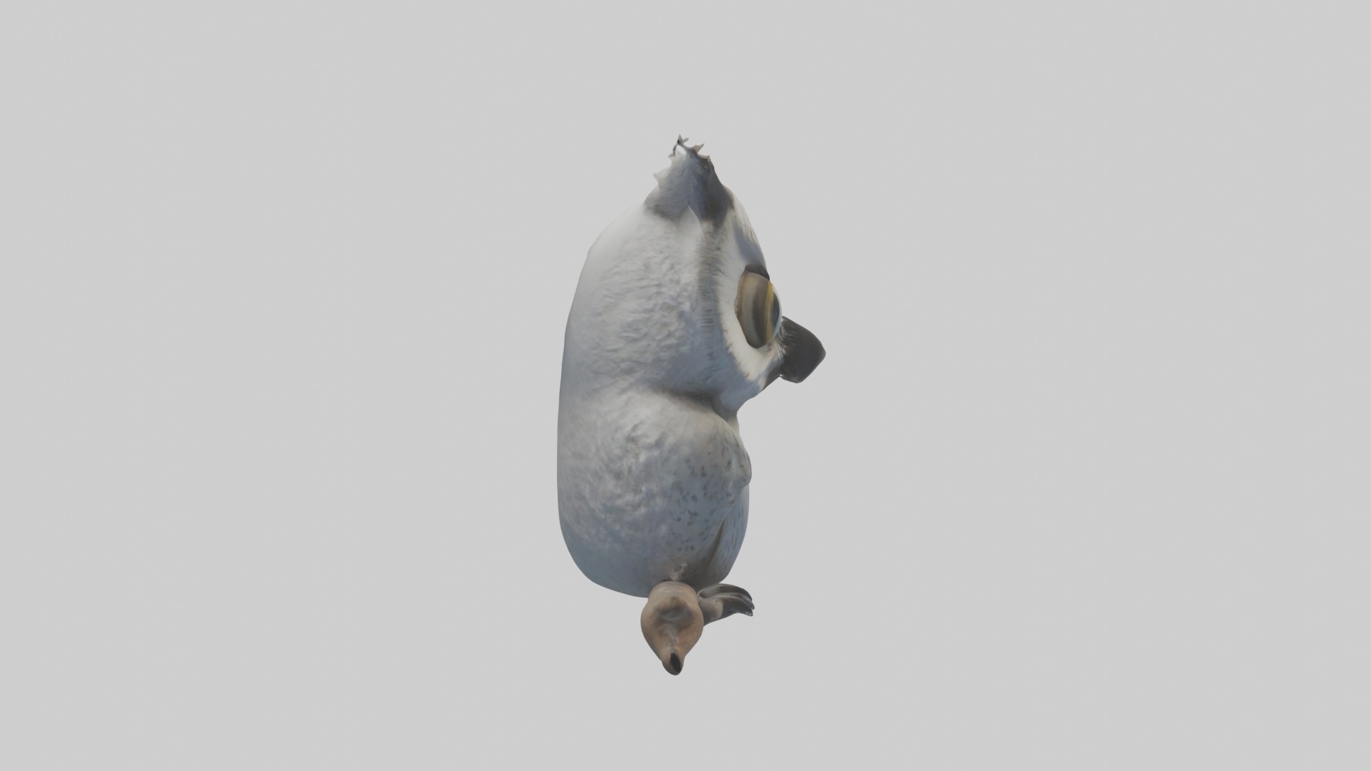 Babyowl Model 1 Low-poly 3D model_7