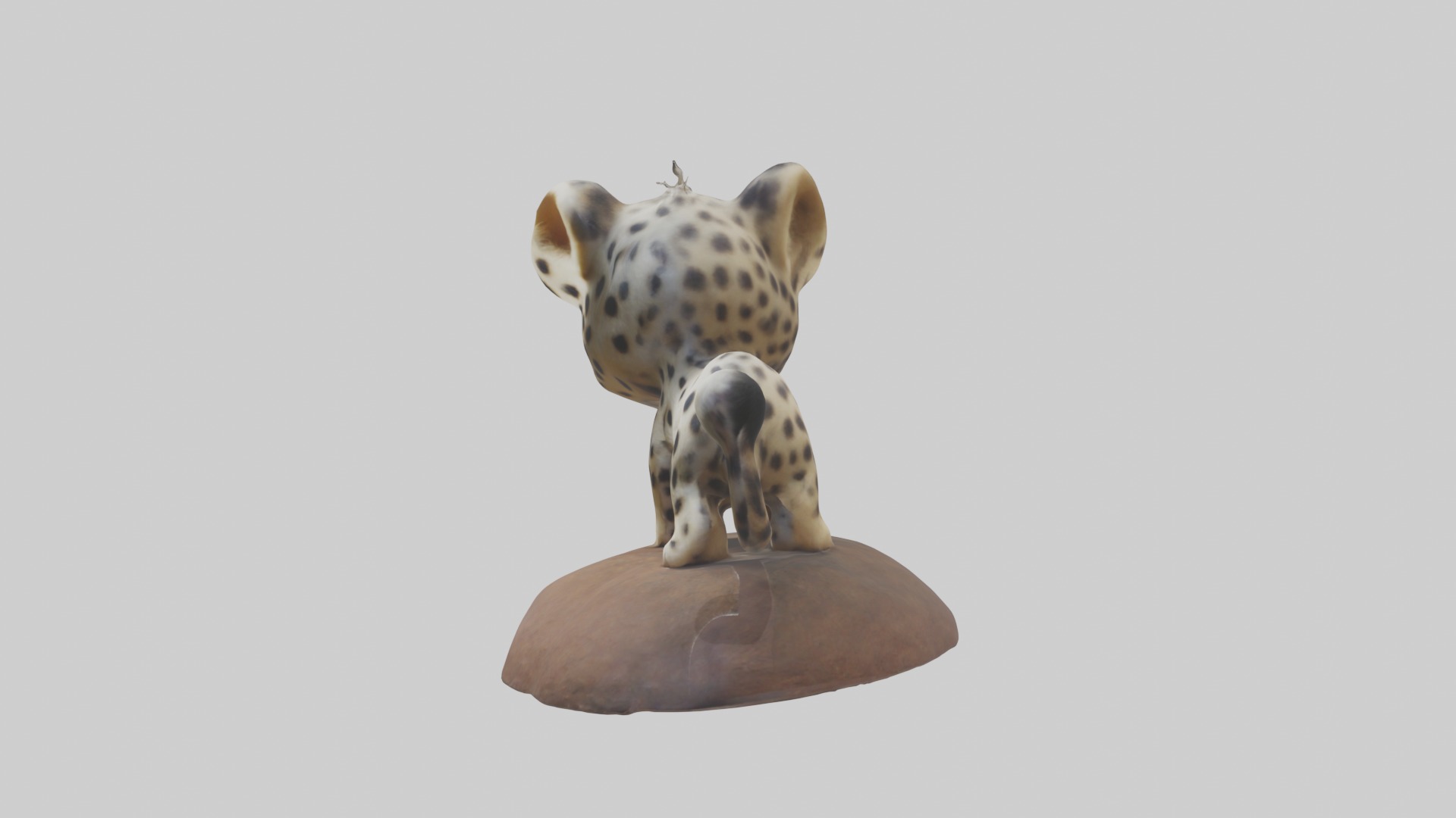 Babyleopard Model 1 Low-poly 3D model_6