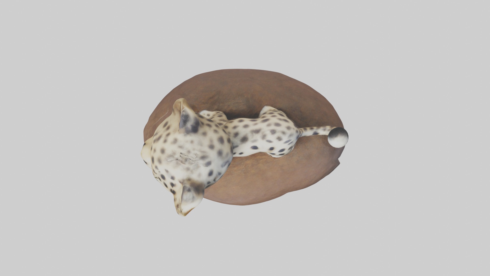 Babyleopard Model 1 Low-poly 3D model_8