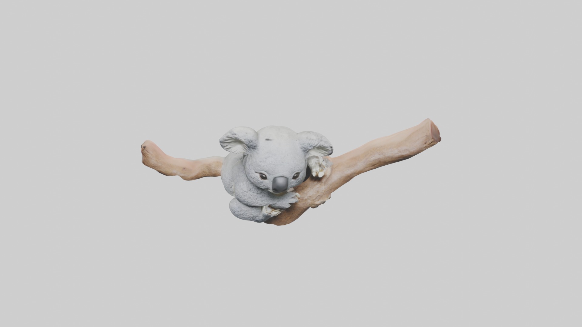 Babykoala Model 1 Low-poly 3D model_10