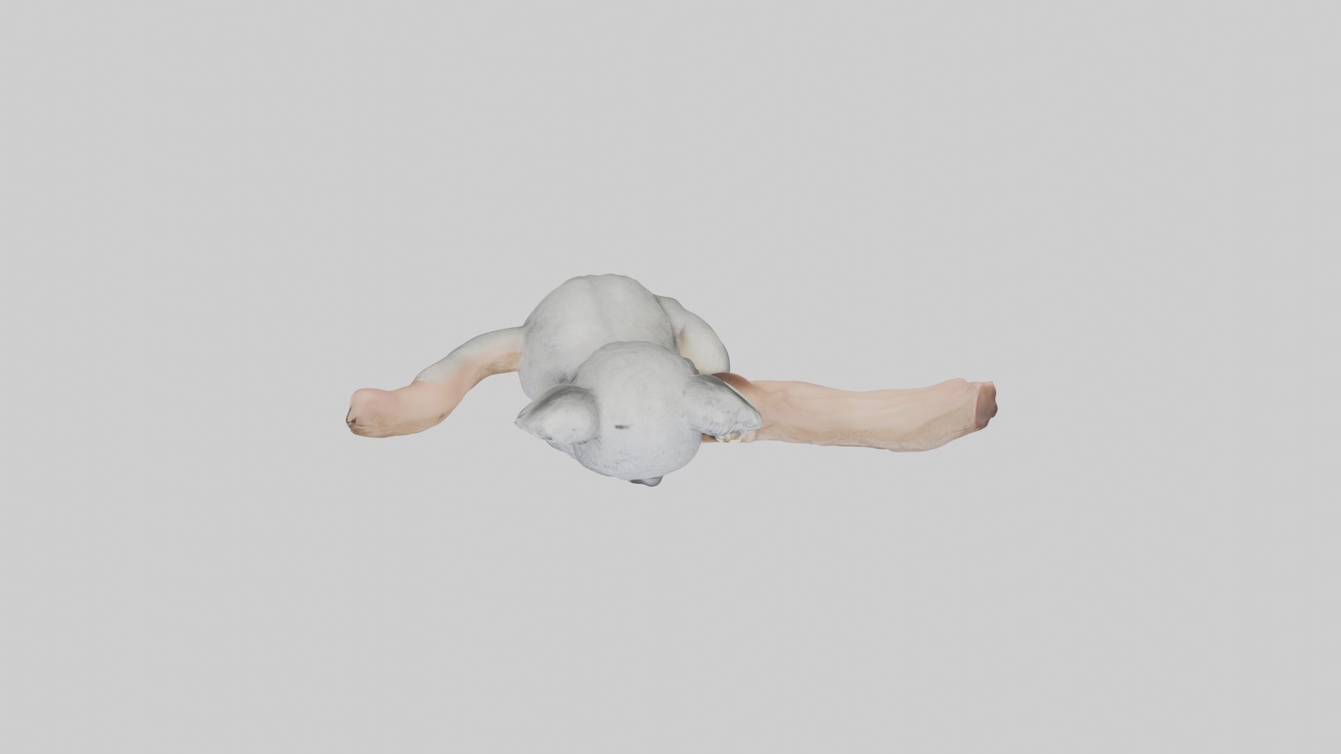 Babykoala Model 1 Low-poly 3D model_8