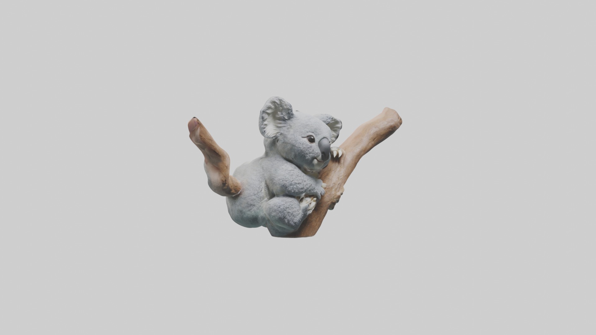Babykoala Model 1 Low-poly 3D model_5