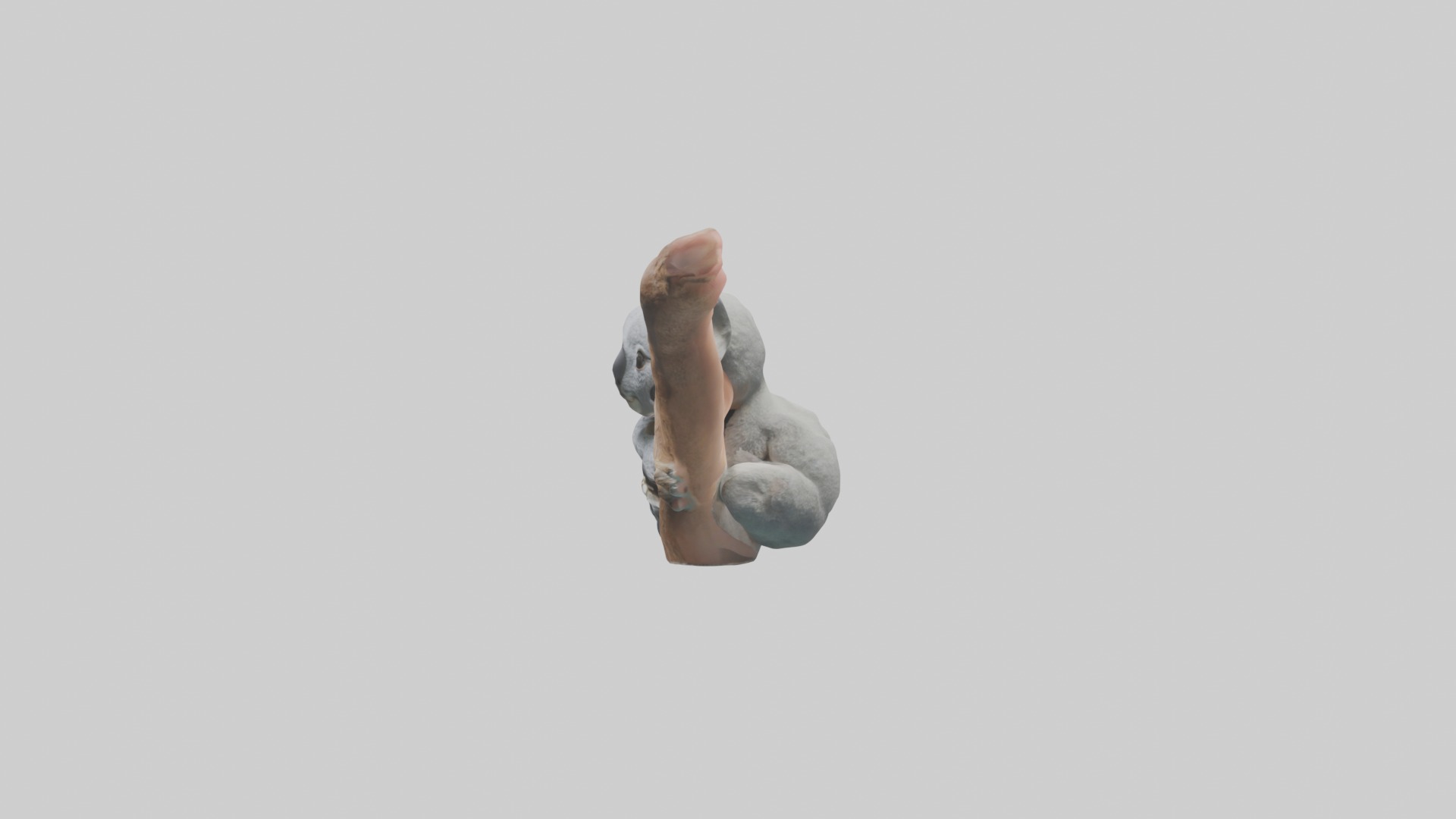 Babykoala Model 1 Low-poly 3D model_6