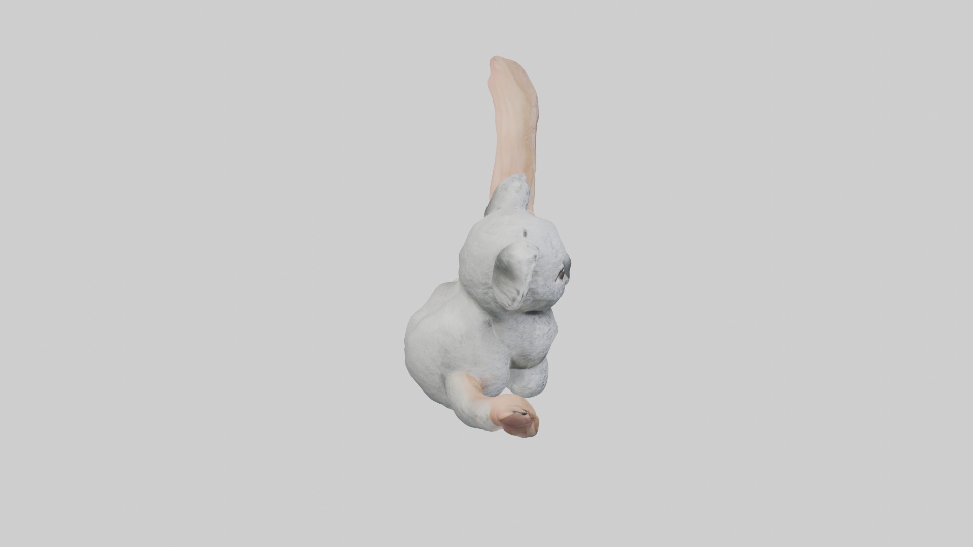 Babykoala Model 1 Low-poly 3D model_12