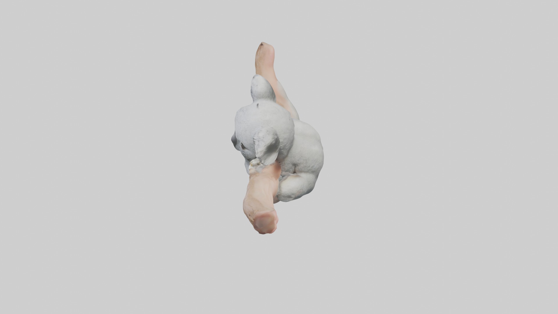 Babykoala Model 1 Low-poly 3D model_11
