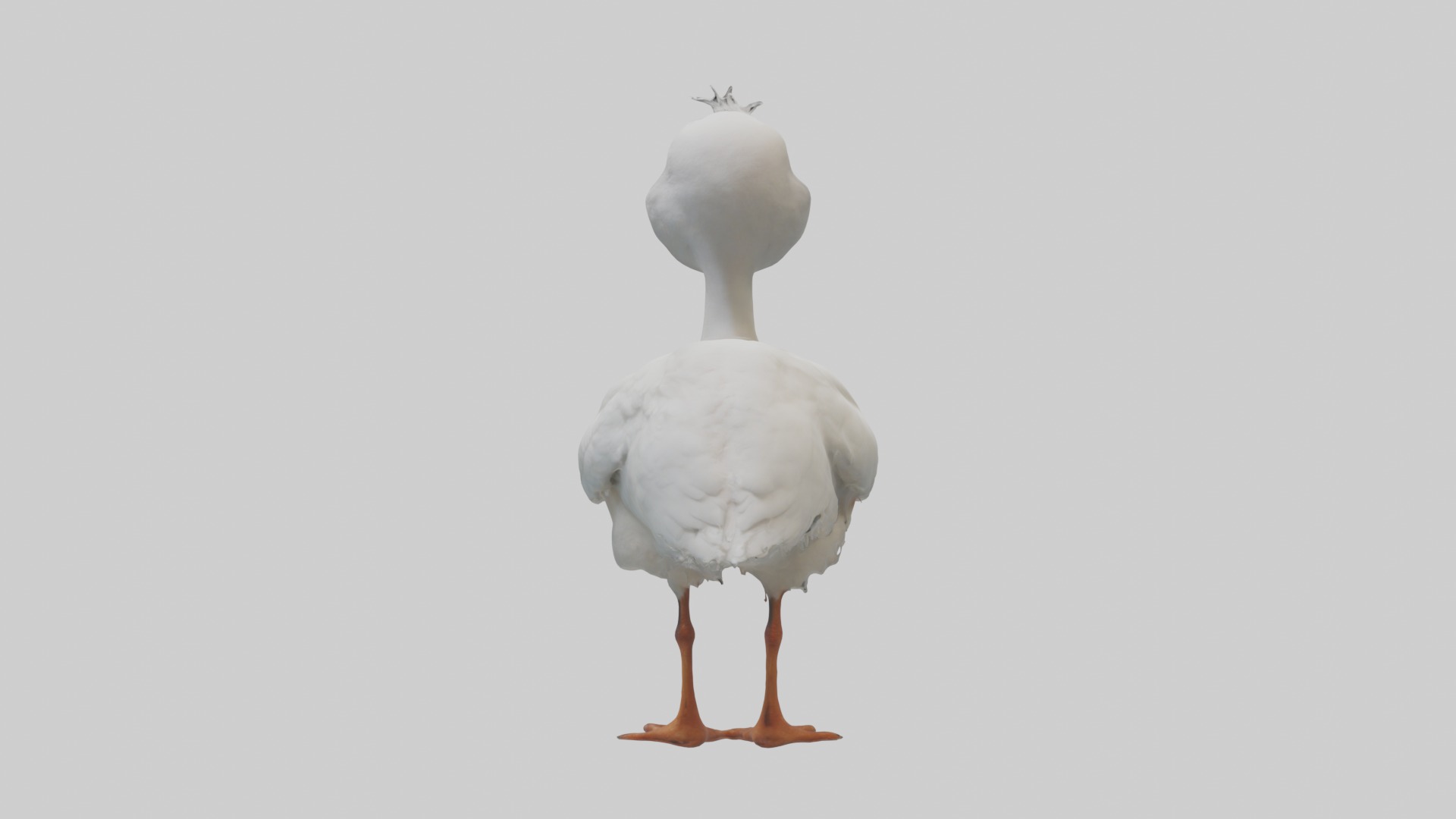 Babyibis Model 1 Low-poly 3D model_1