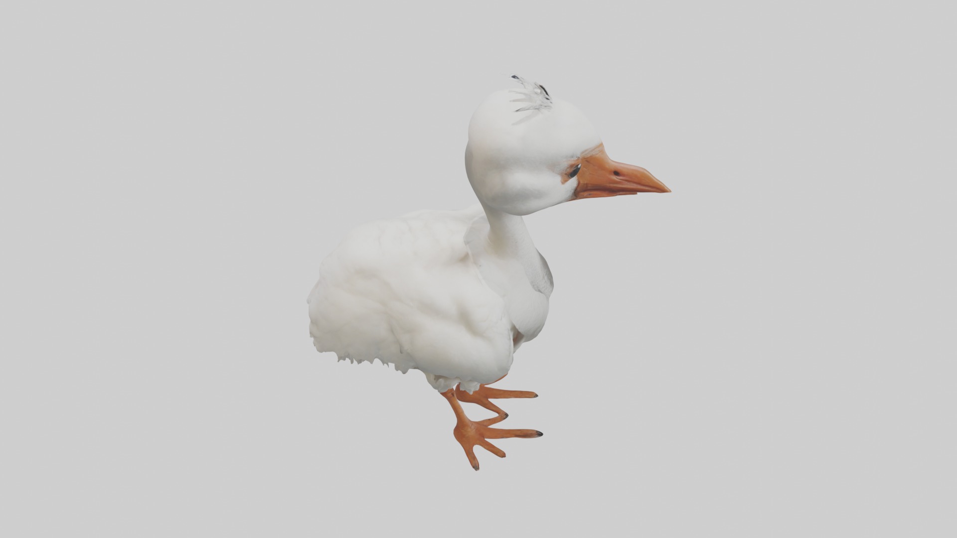 Babyibis Model 1 Low-poly 3D model_12