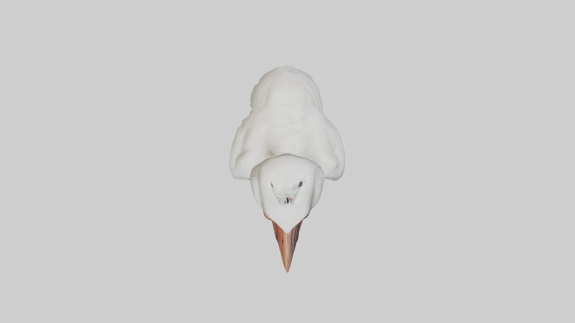 Babyibis Model 1 Low-poly 3D model_8