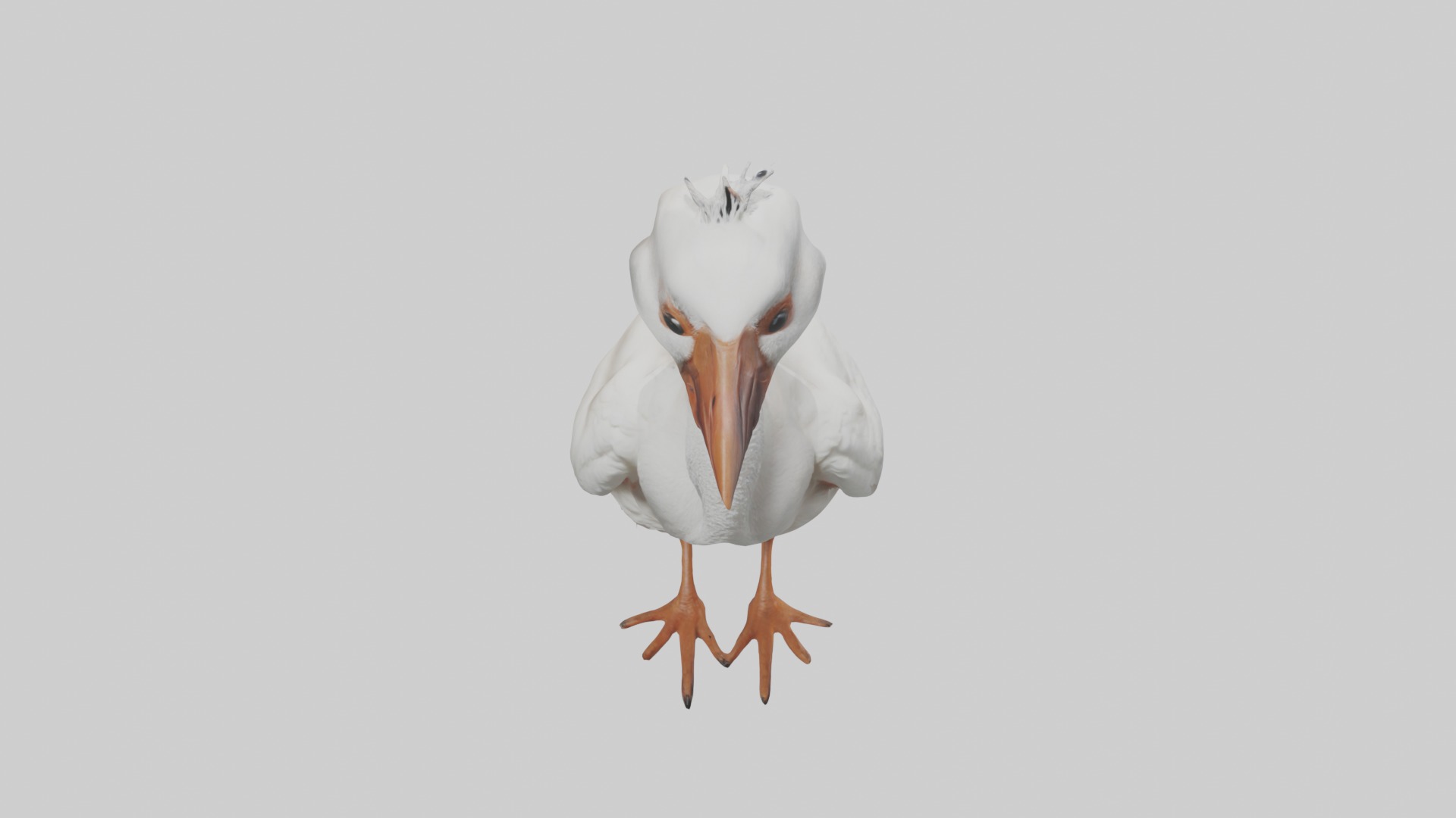 Babyibis Model 1 Low-poly 3D model_10