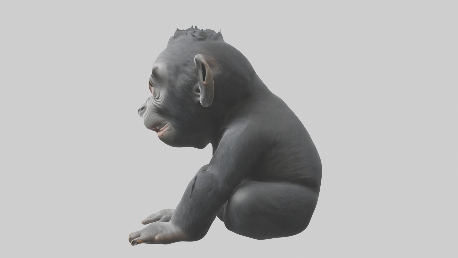 Babygorilla Model 1 Low-poly 3D model_6