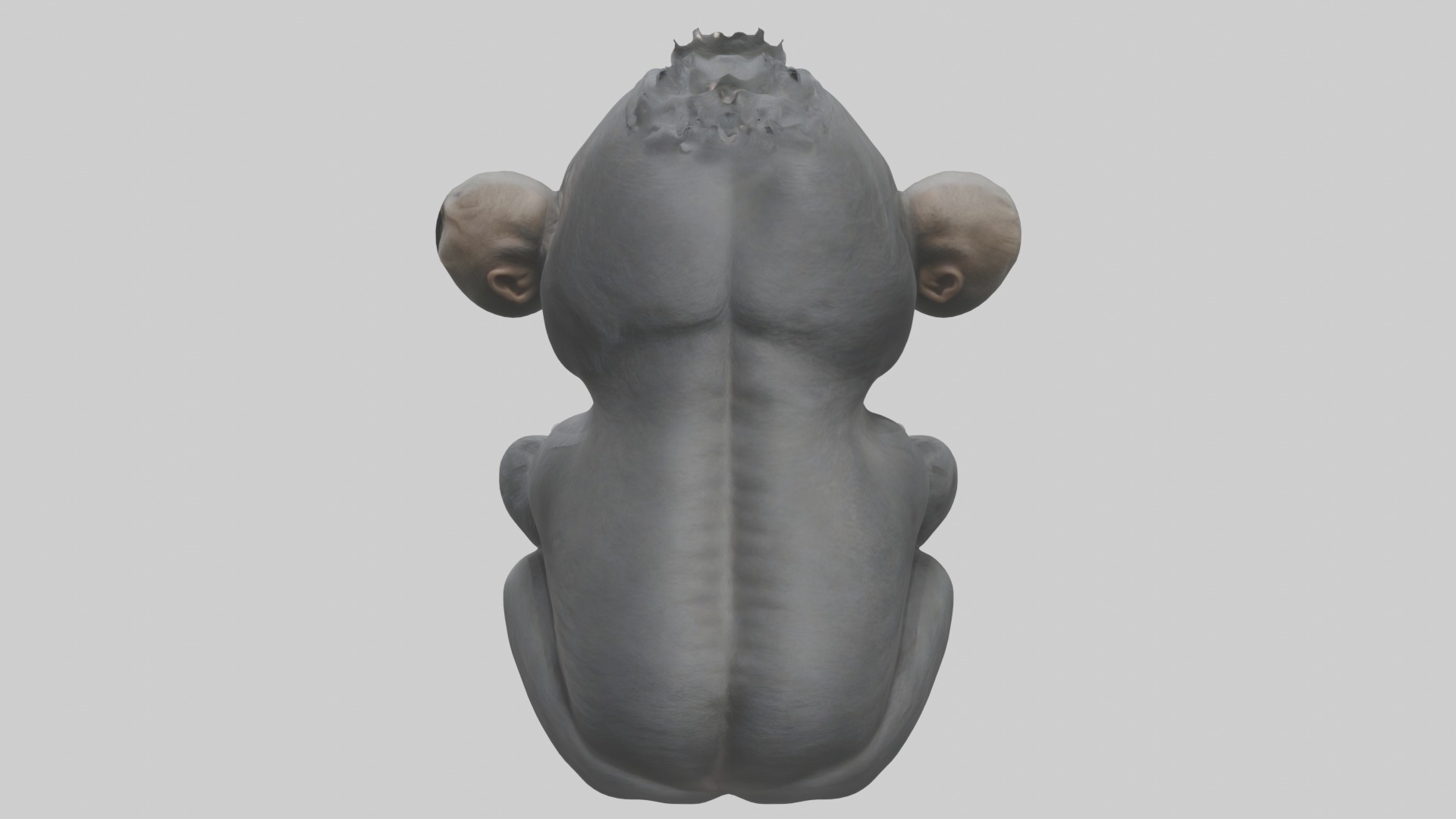 Babygorilla Model 1 Low-poly 3D model_9
