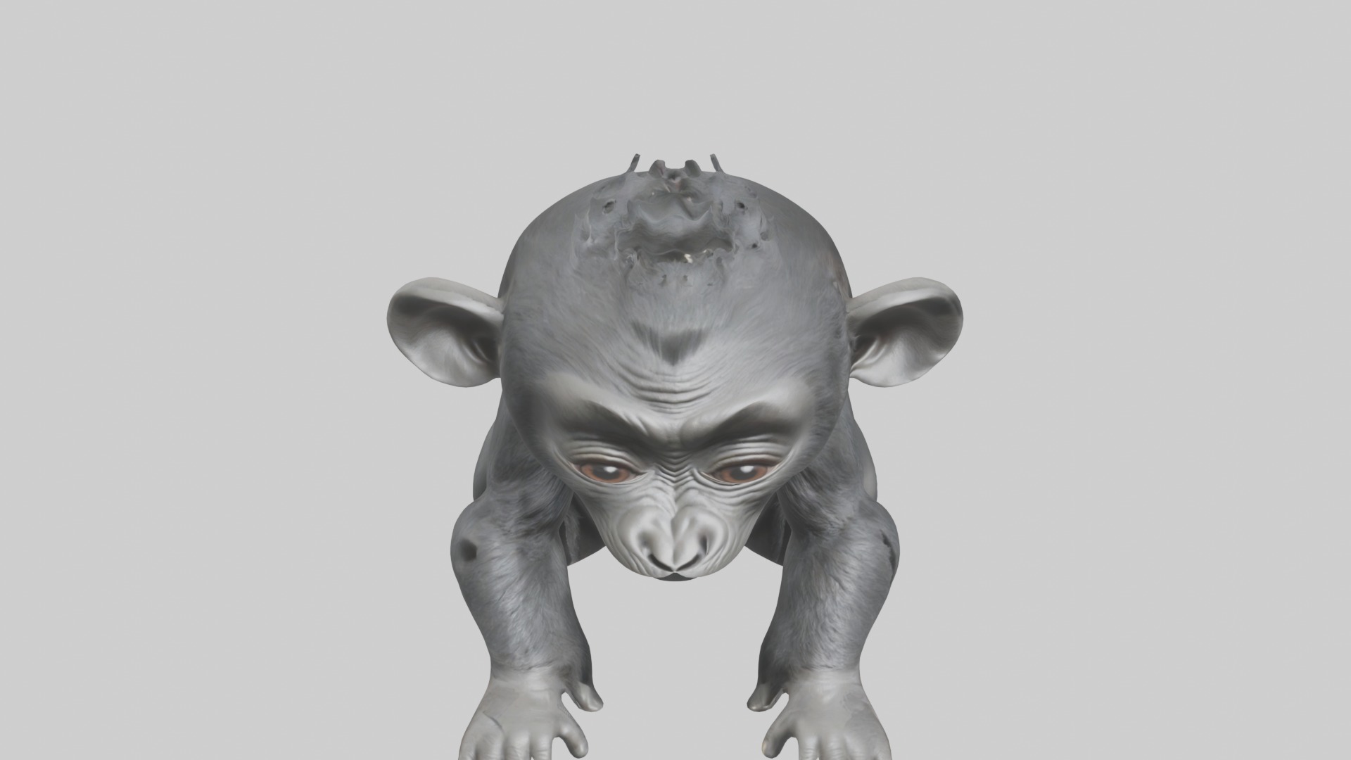 Babygorilla Model 1 Low-poly 3D model_10