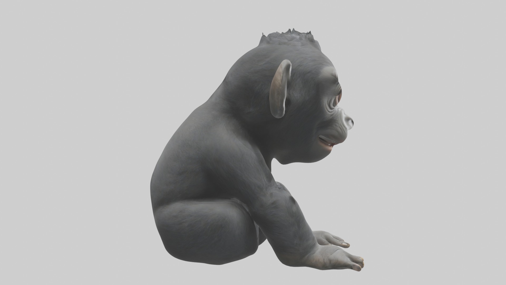 Babygorilla Model 1 Low-poly 3D model_7