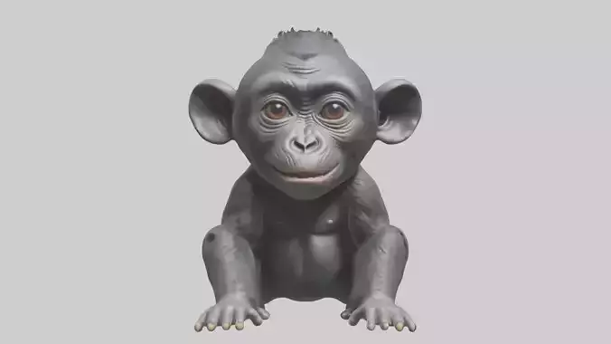 Babygorilla Model 1