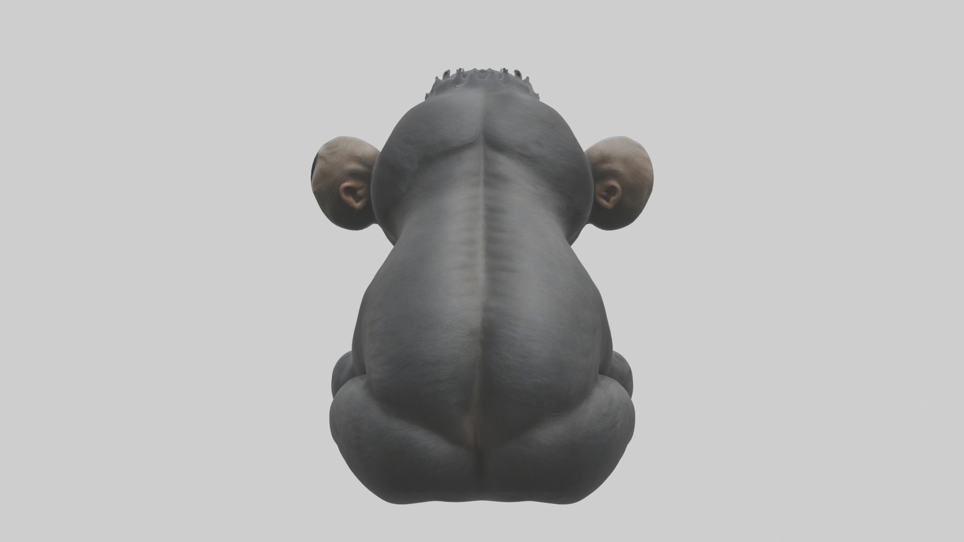Babygorilla Model 1 Low-poly 3D model_1