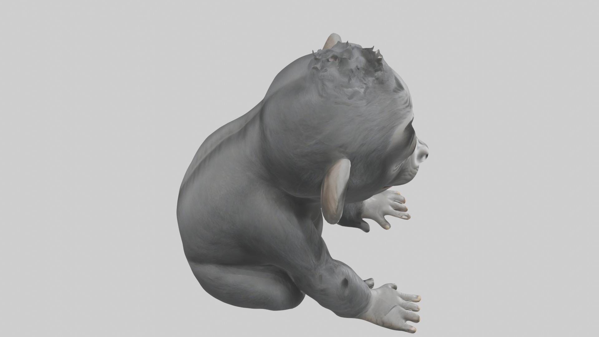 Babygorilla Model 1 Low-poly 3D model_12