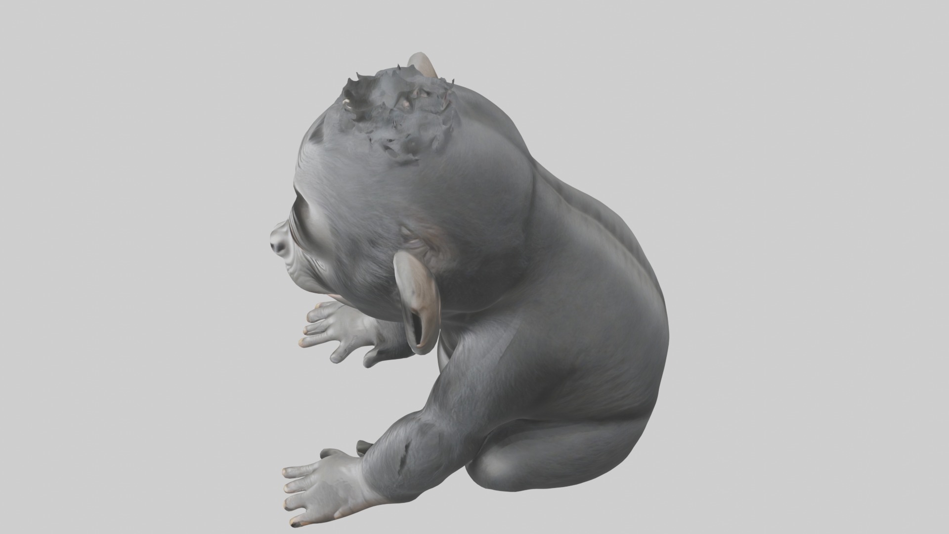 Babygorilla Model 1 Low-poly 3D model_11