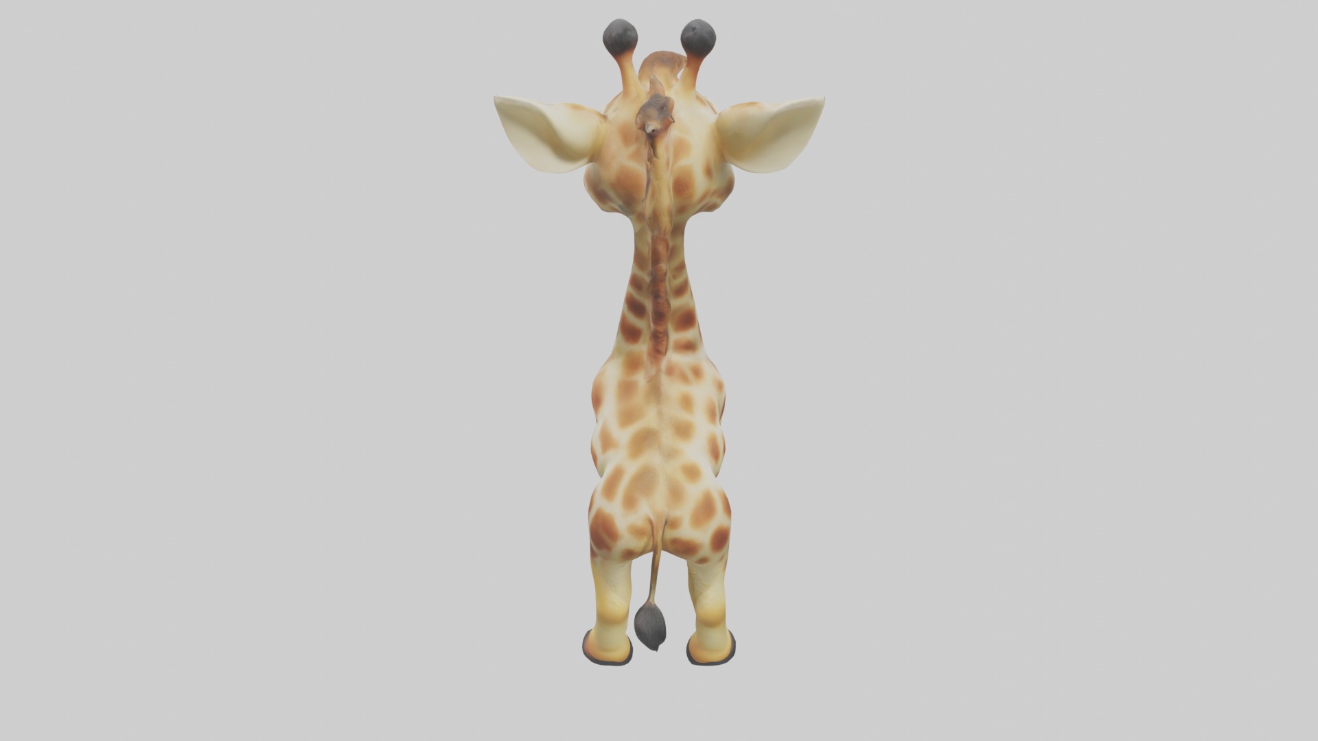 Babygiraffe Model 1 Low-poly 3D model_9