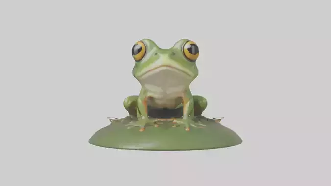 Babyfrog Model 1