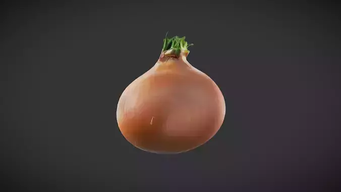 Onion