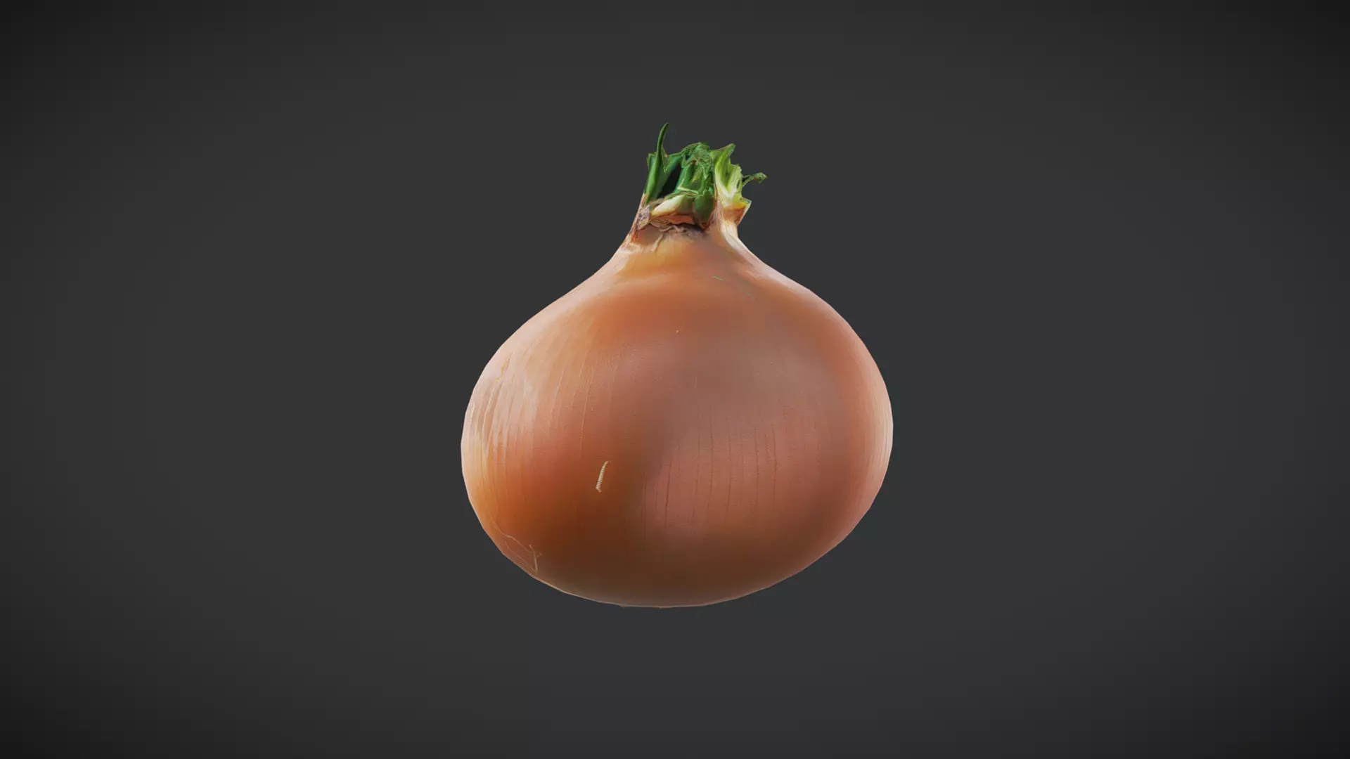 Onion Low-poly 3D model_0