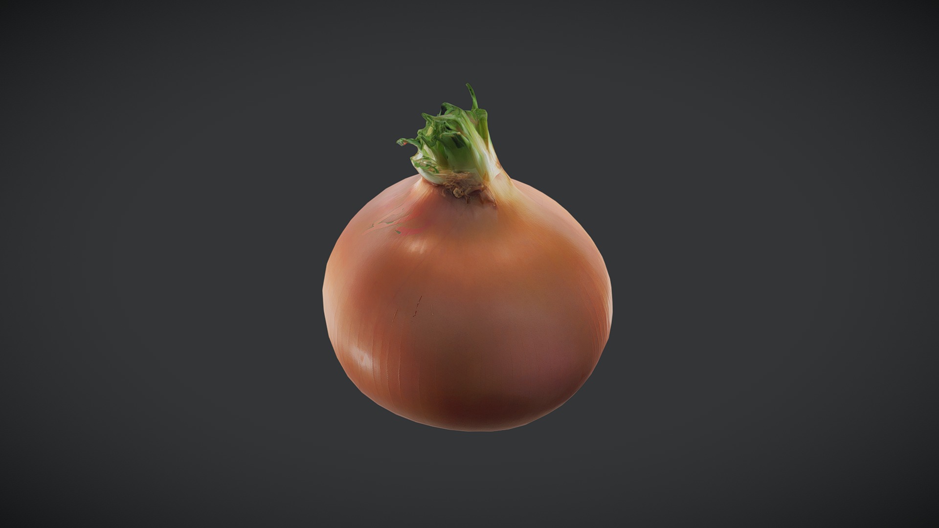 Onion Low-poly 3D model_3