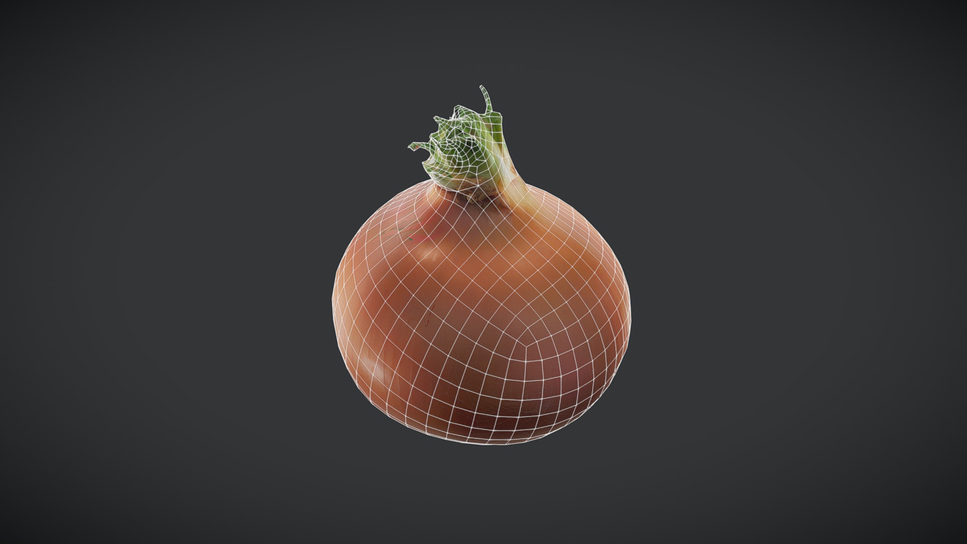Onion Low-poly 3D model_4