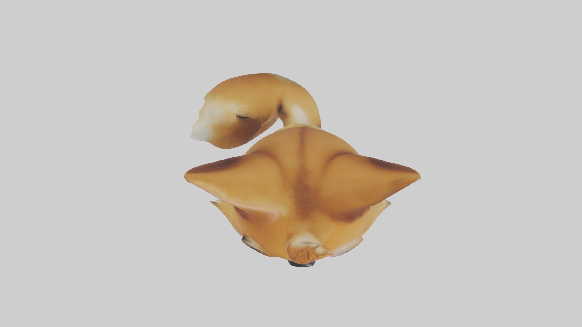 Babydingo Model 1 Low-poly 3D model_8