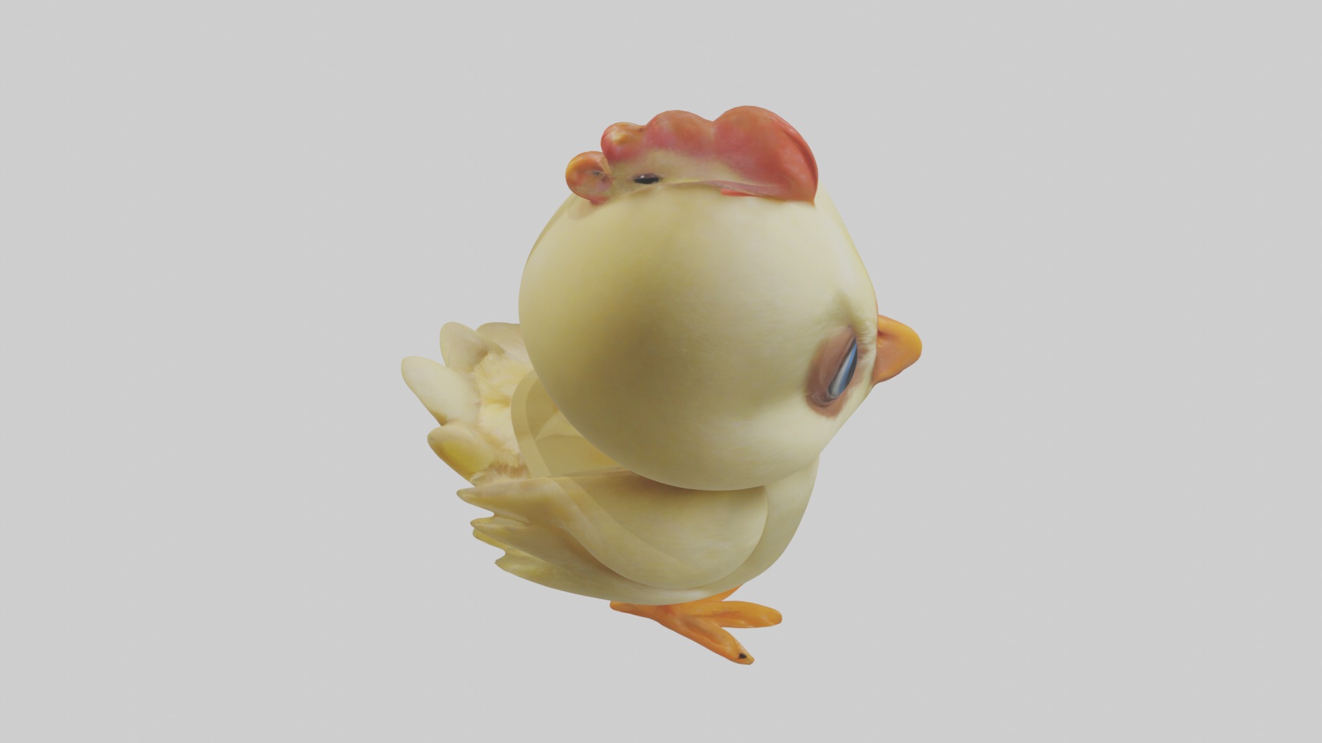 Babychicken Model 1 Low-poly 3D model_12