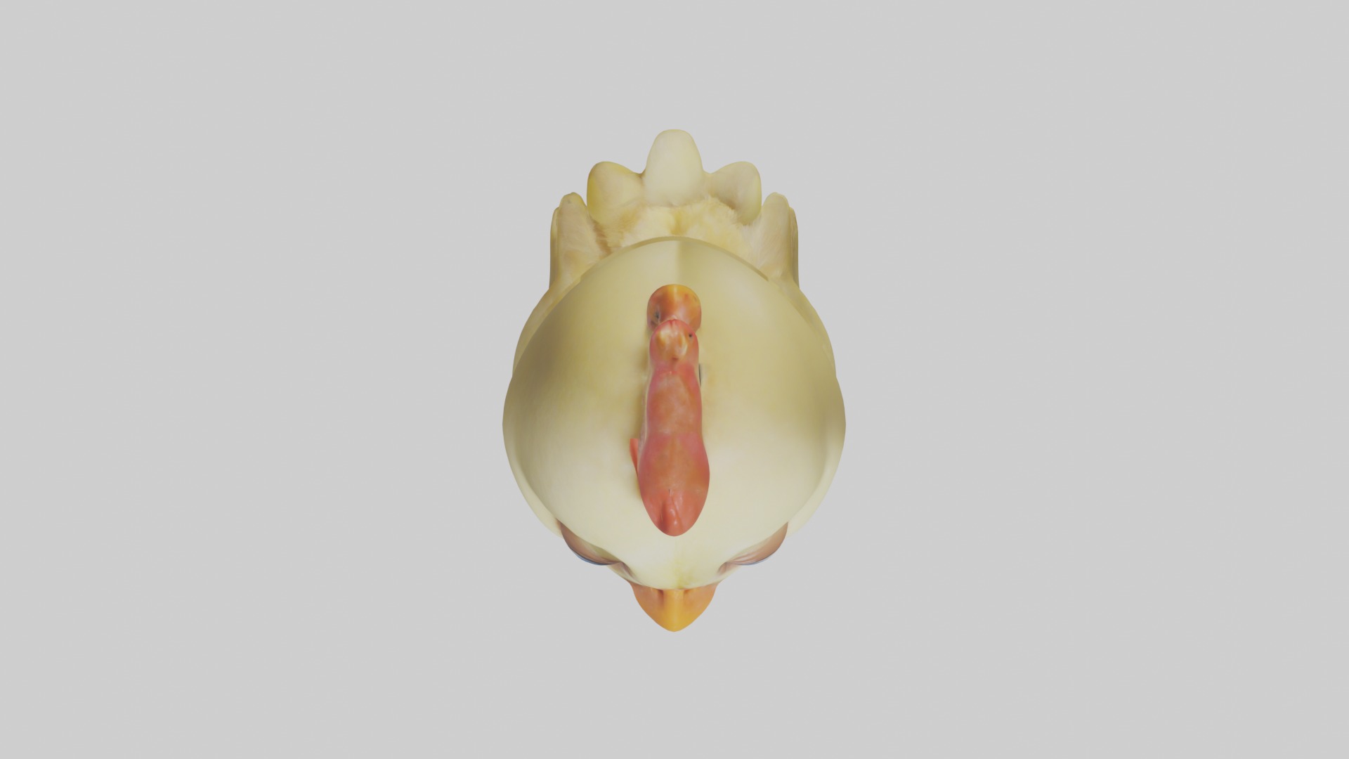 Babychicken Model 1 Low-poly 3D model_8