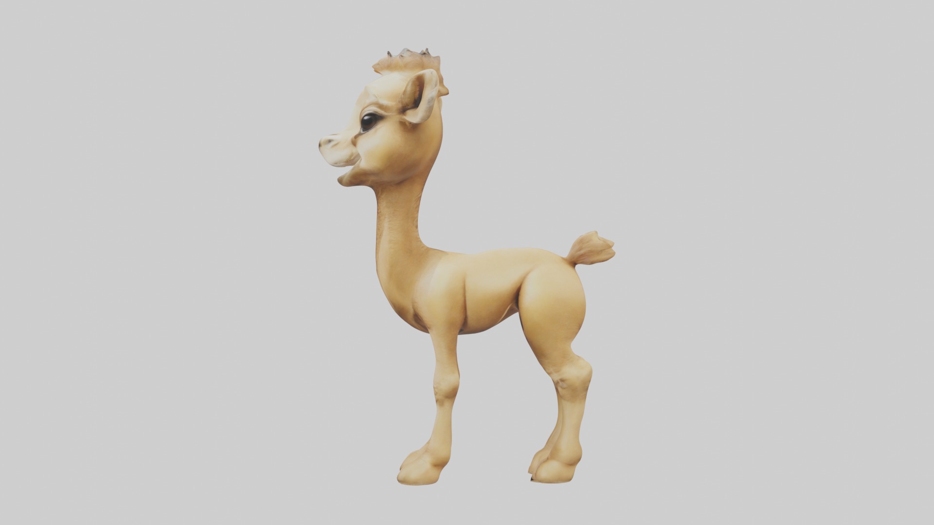 Babycamel Model 1 Low-poly 3D model_6
